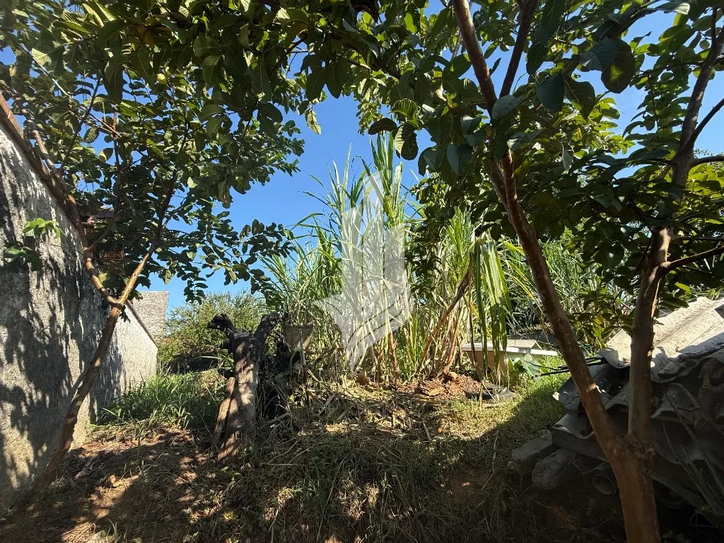 Terreno no bairro Velha Central — foto 2