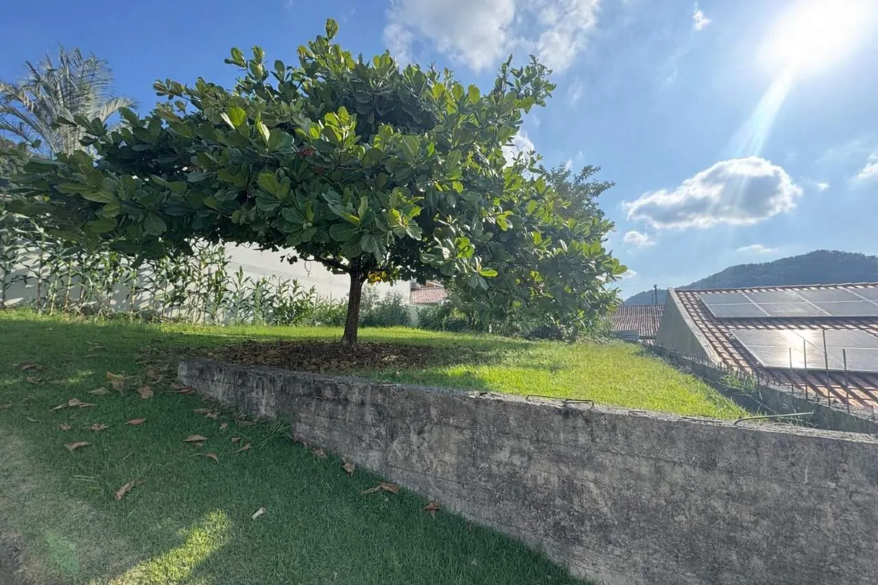 Terreno na Velha Central com 380m e 14m de frente - foto 1