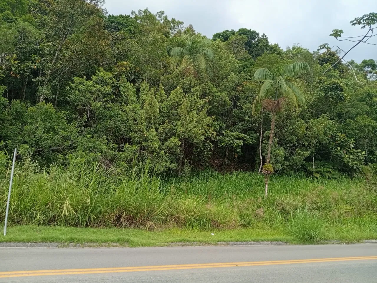 Terreno Estratégico em Pomerode - Ideal para Comércio ou Moradia. Bairro Ribeirão Areia. - foto 1