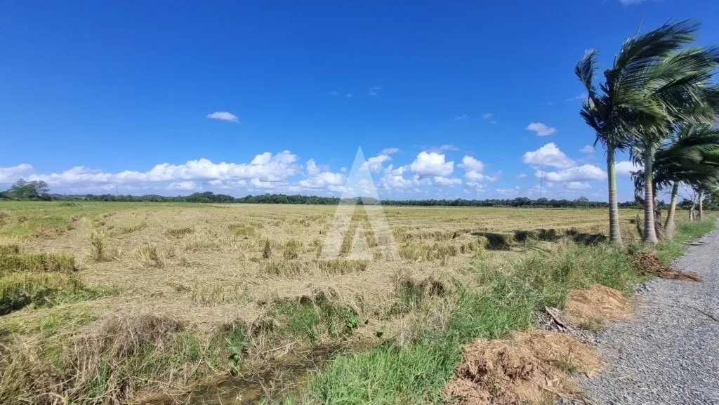 Terreno com 10.000m à venda no bairro Morro do Meio em Joinville-SC por R$1.500.000,00. - foto 1