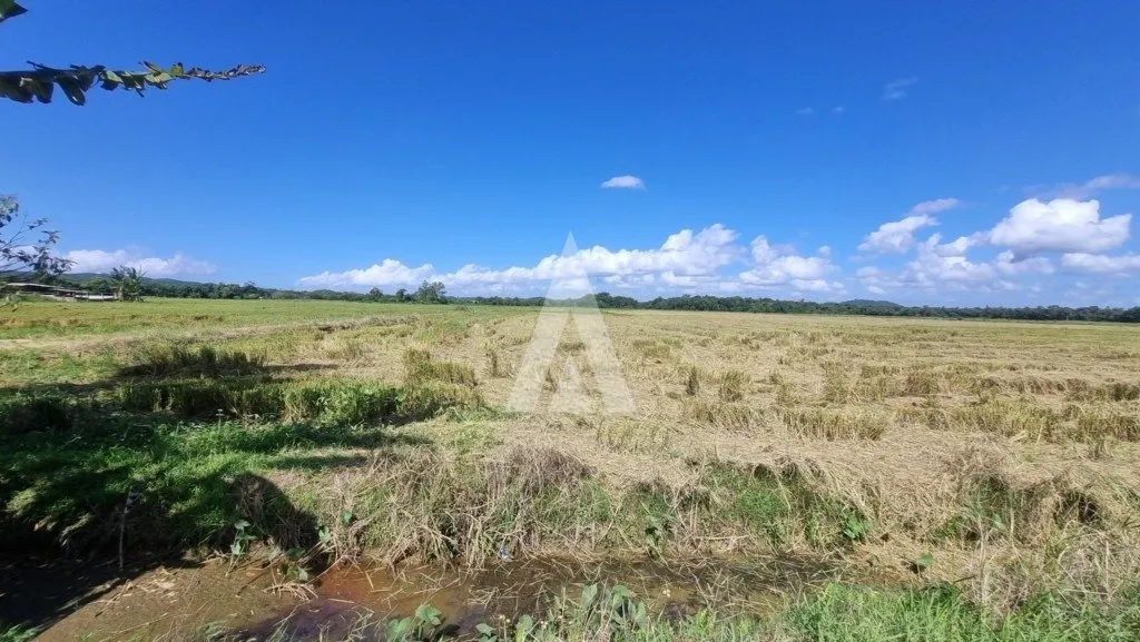 Terreno com 10.000m à venda no bairro Morro do Meio em Joinville-SC por R$1.500.000,00. — foto 2