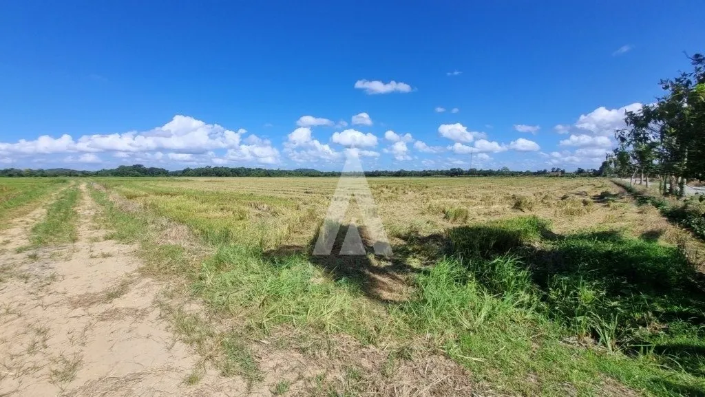 Terreno com 10.000m à venda no bairro Morro do Meio em Joinville-SC por R$1.500.000,00. — foto 3