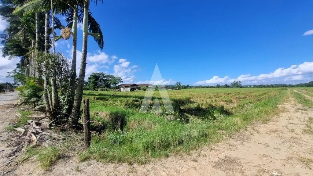 Terreno com 10.000m à venda no bairro Morro do Meio em Joinville-SC por R$1.500.000,00. — foto 4