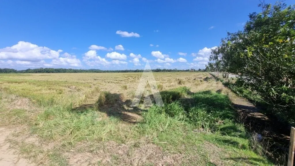 Terreno com 10.000m à venda no bairro Morro do Meio em Joinville-SC por R$1.500.000,00. — foto 5