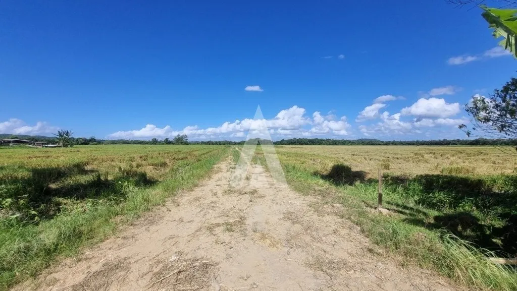 Terreno com 10.000m à venda no bairro Morro do Meio em Joinville-SC por R$1.500.000,00. — foto 6