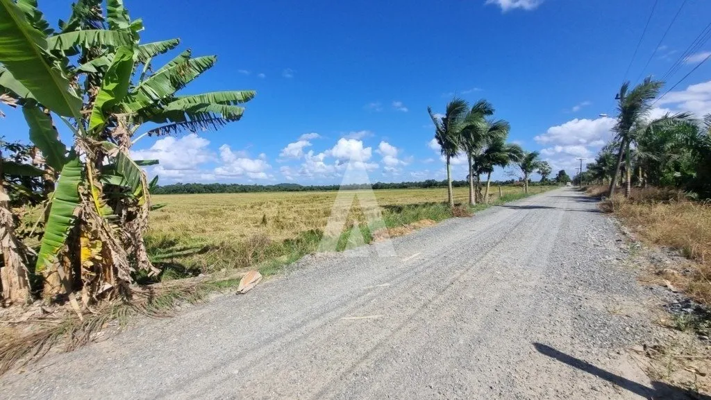 Terreno com 10.000m à venda no bairro Morro do Meio em Joinville-SC por R$1.500.000,00. — foto 7