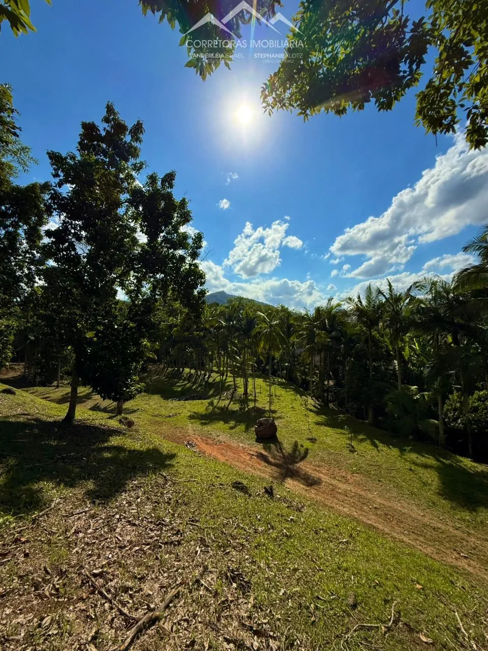 TERRENO - Centro, Pomerode SC — foto 2