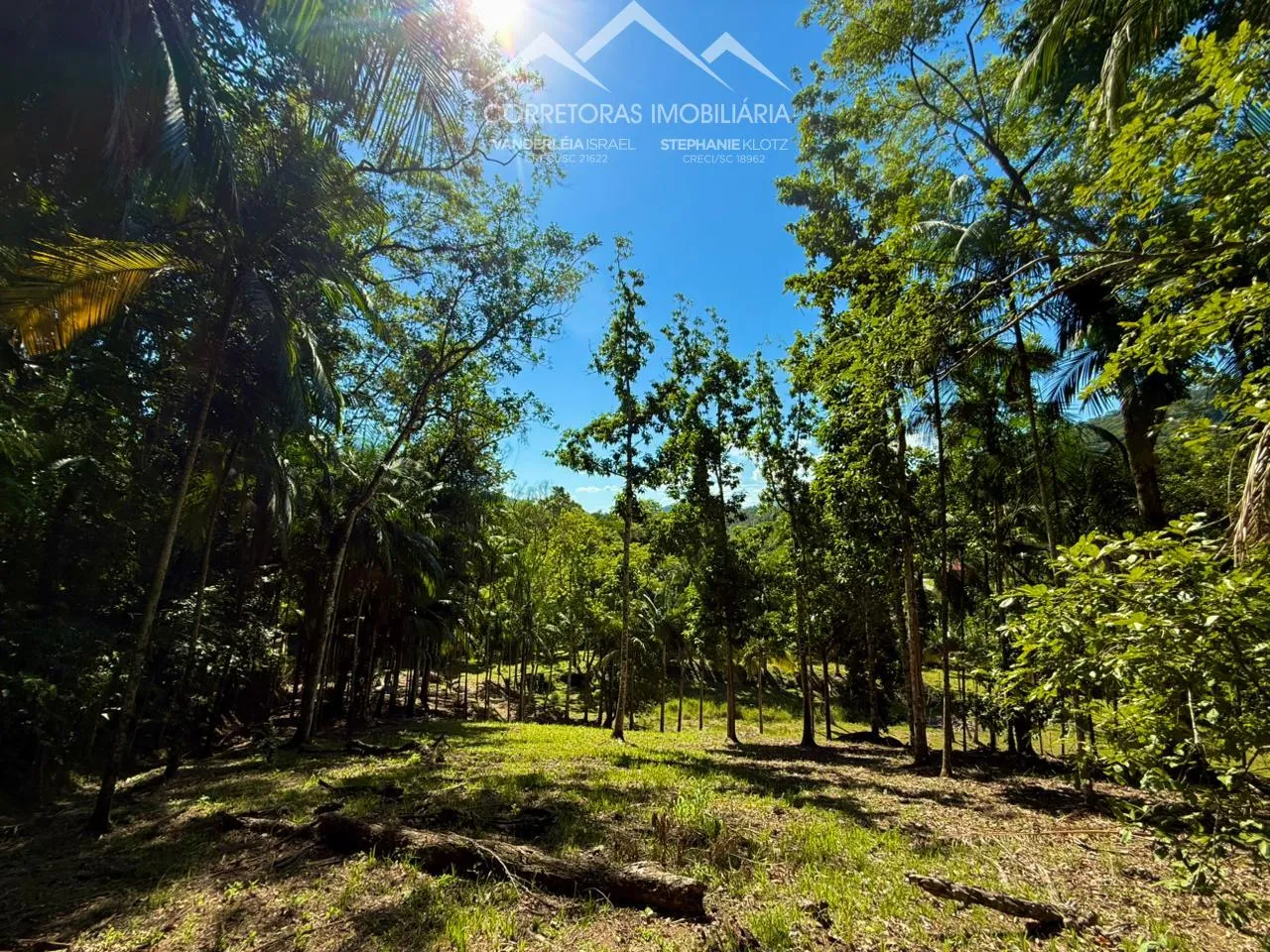 TERRENO - Centro, Pomerode SC — foto 4