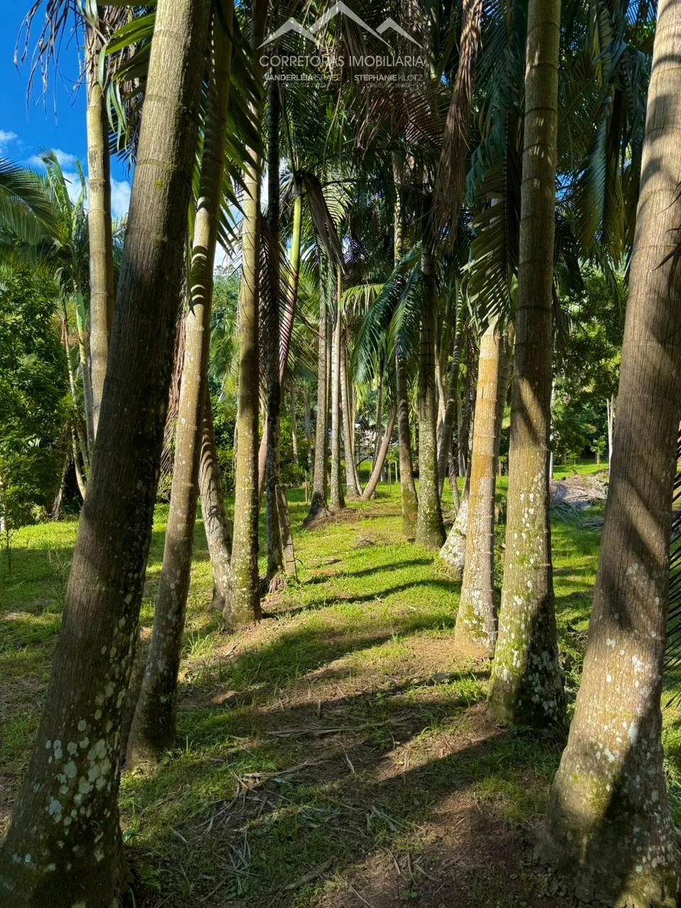 TERRENO - Centro, Pomerode SC — foto 7