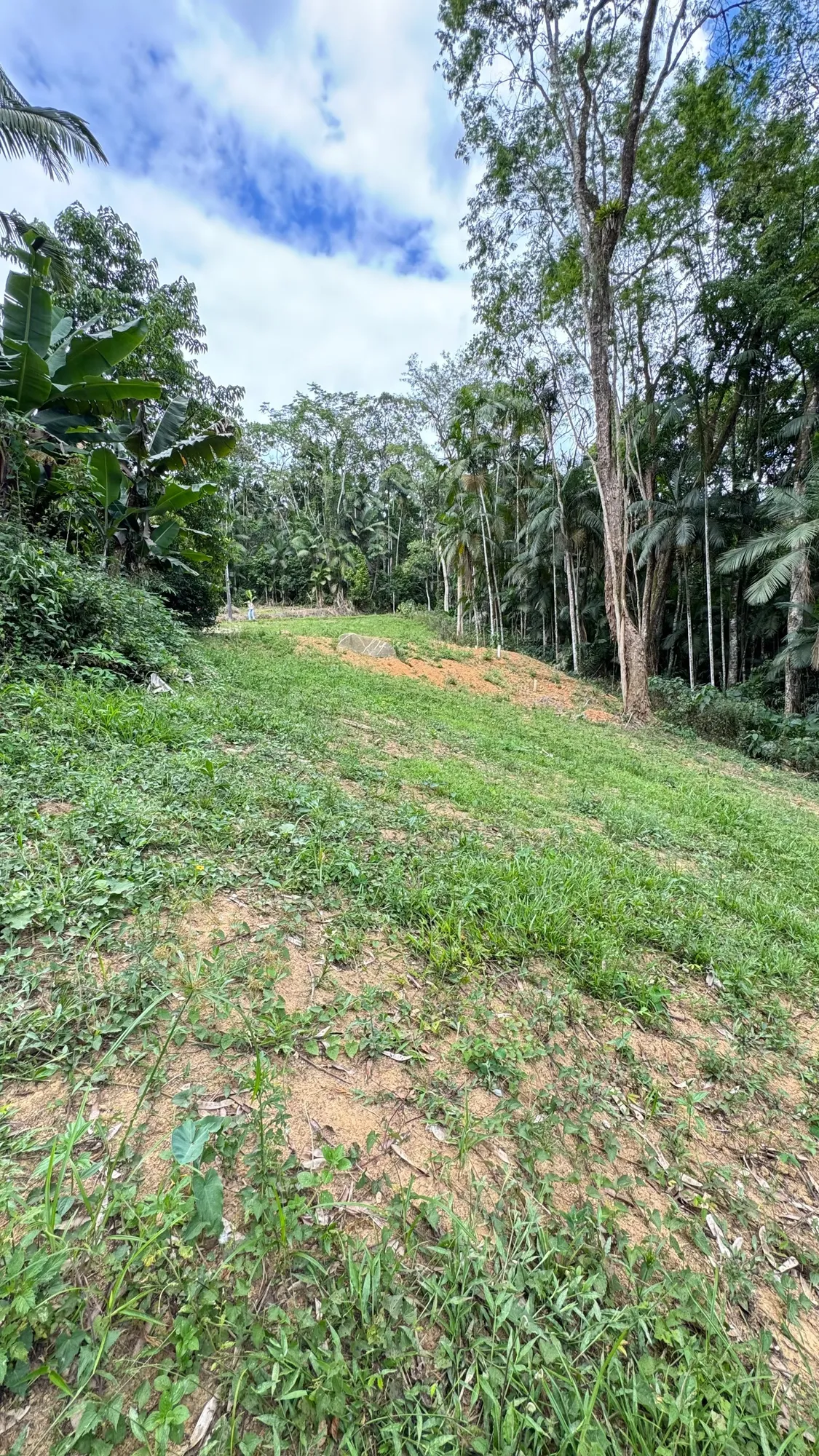 Terreno com 1.089 m no Ribeirão Areia - Pomerode - foto 1
