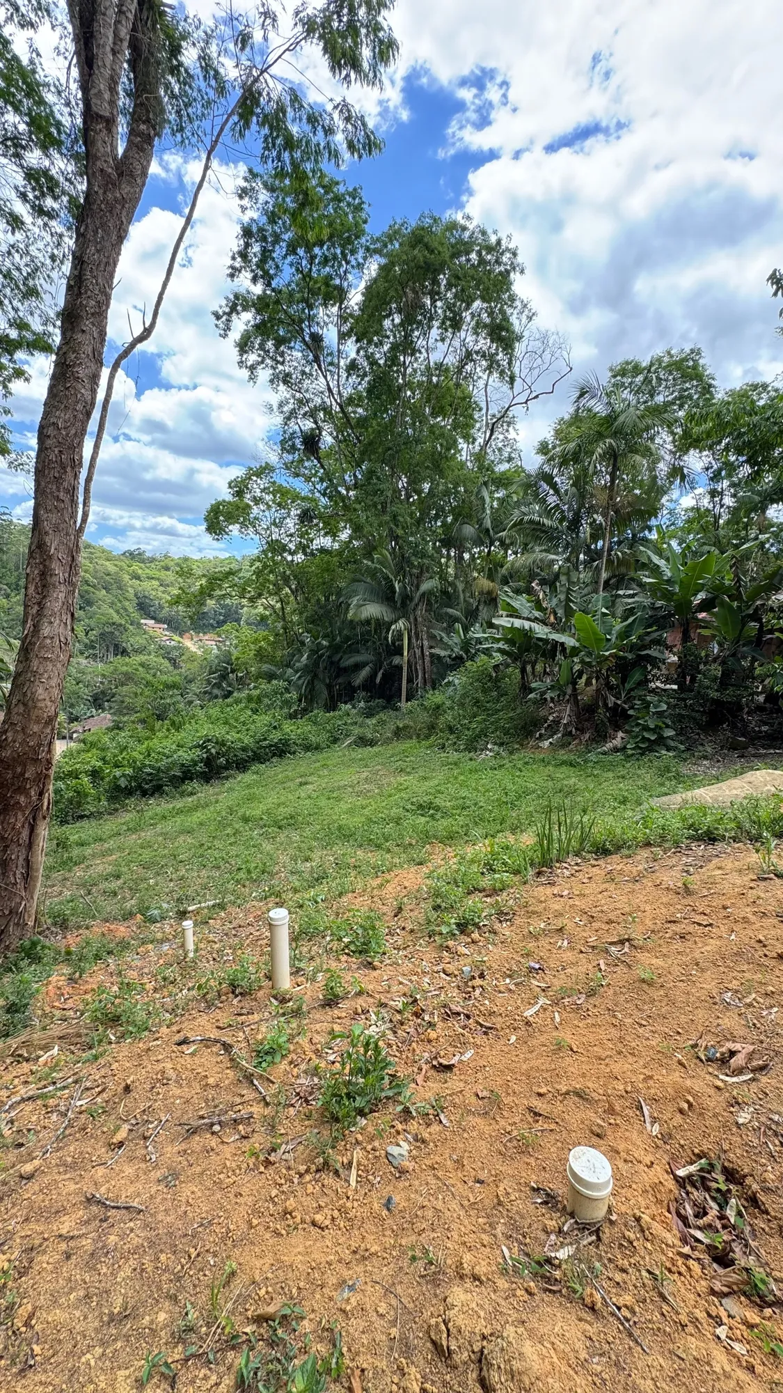 Terreno com 1.089 m no Ribeirão Areia - Pomerode — foto 6