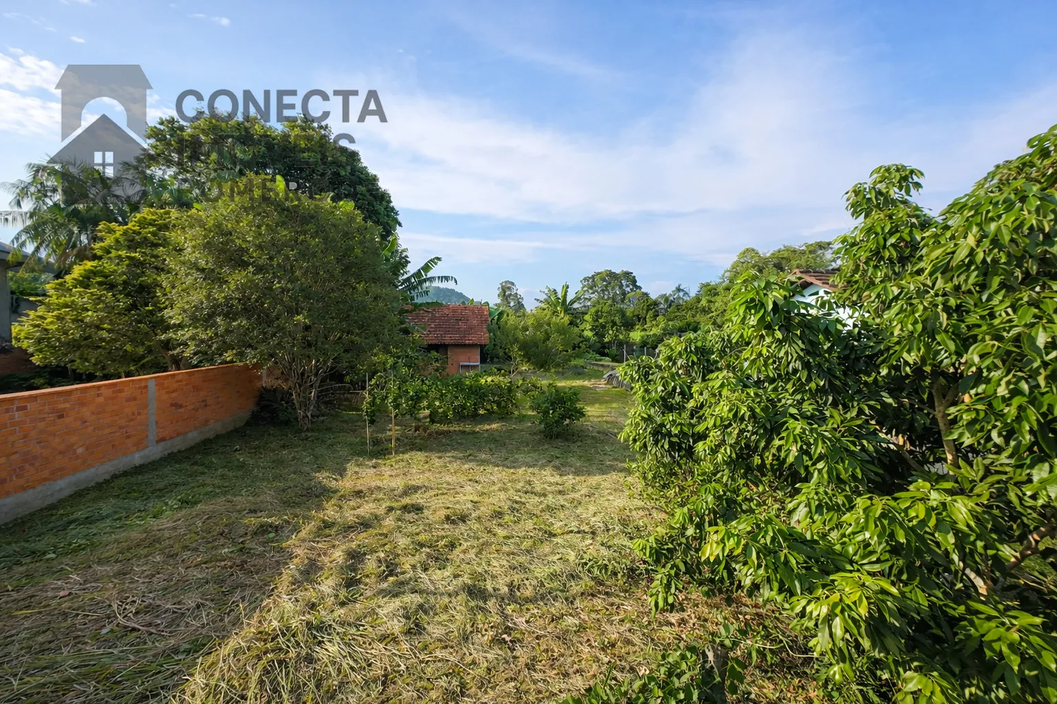 Terreno no Centro com 775 m — foto 6