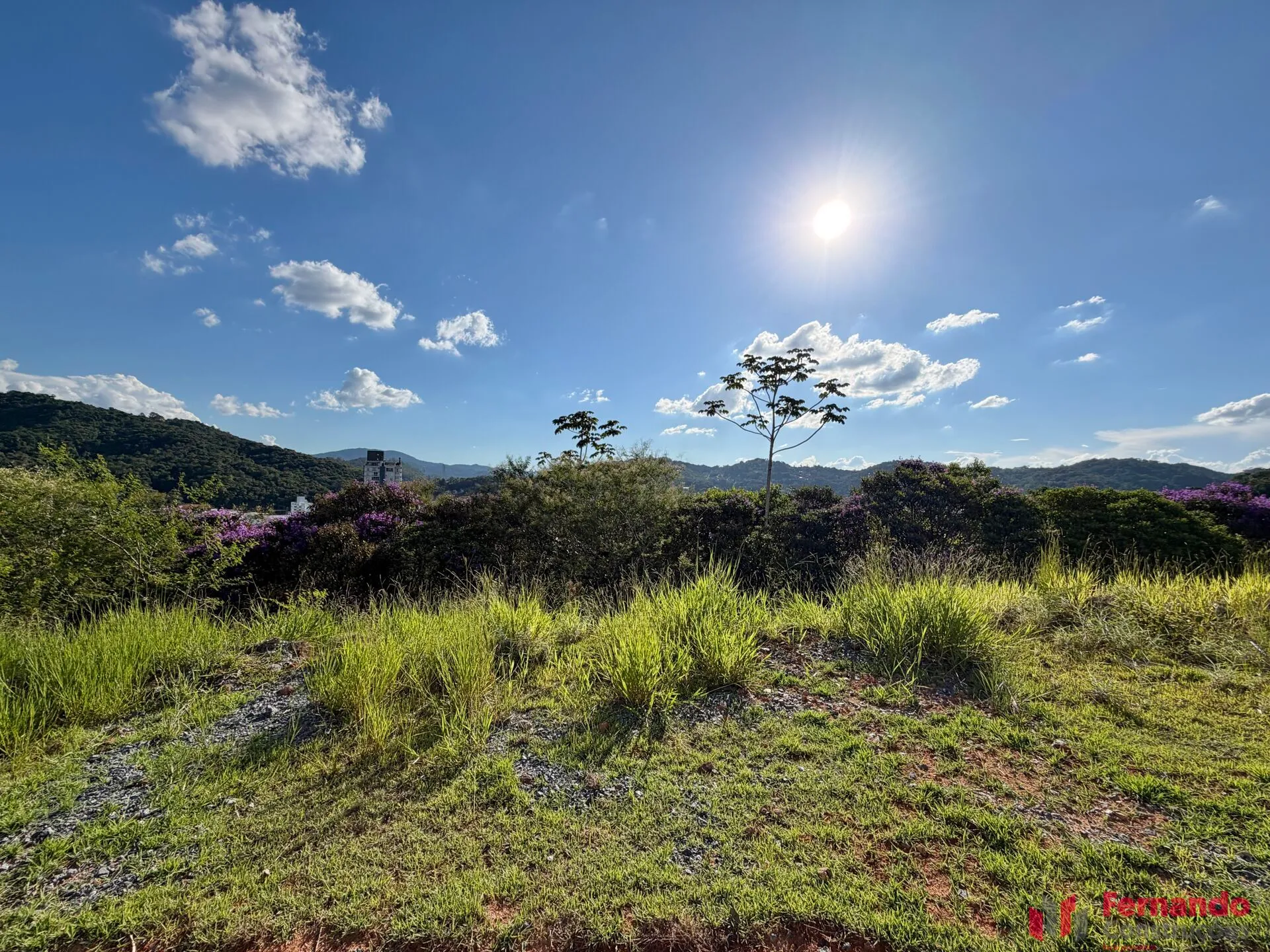 Privilége - Terreno em condomínio fechado com aprox. 784 m2 no bairro Ponta Aguda em Blumenau-SC — foto 2