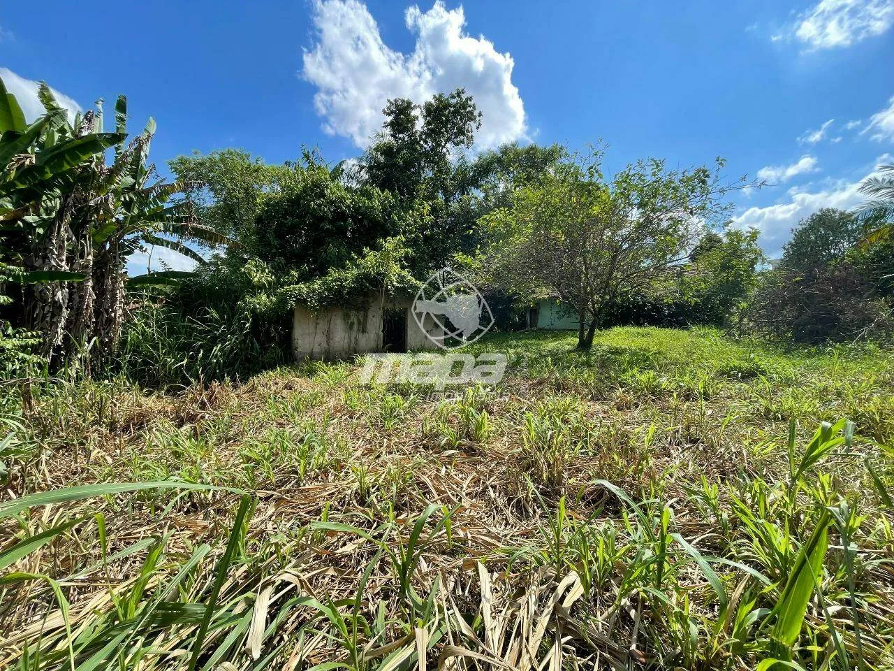 Amplo terreno — foto 5