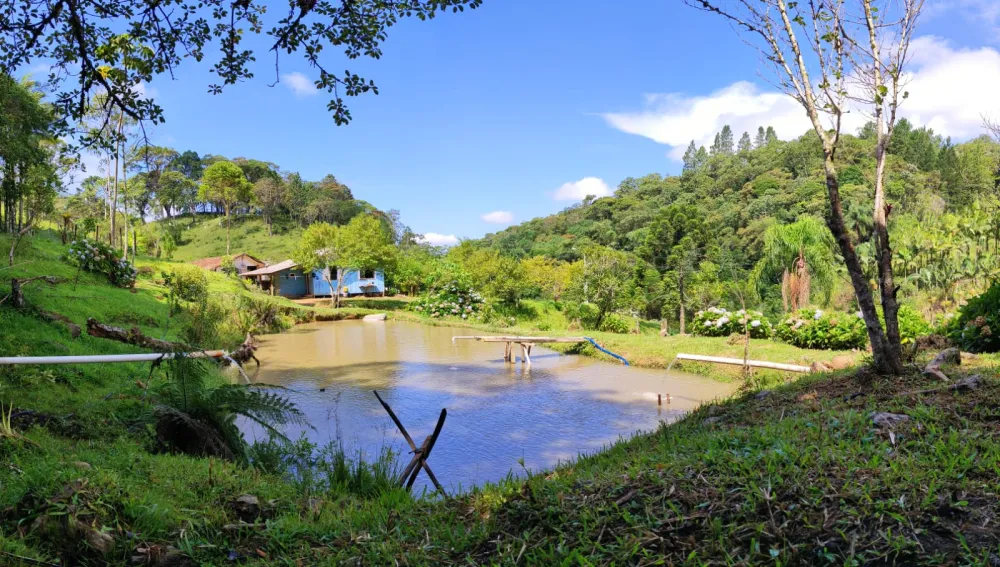 SÍTIO A VENDA - 21,5 hectares - NA GRANDE FLORIANÓPOLIS - foto 1