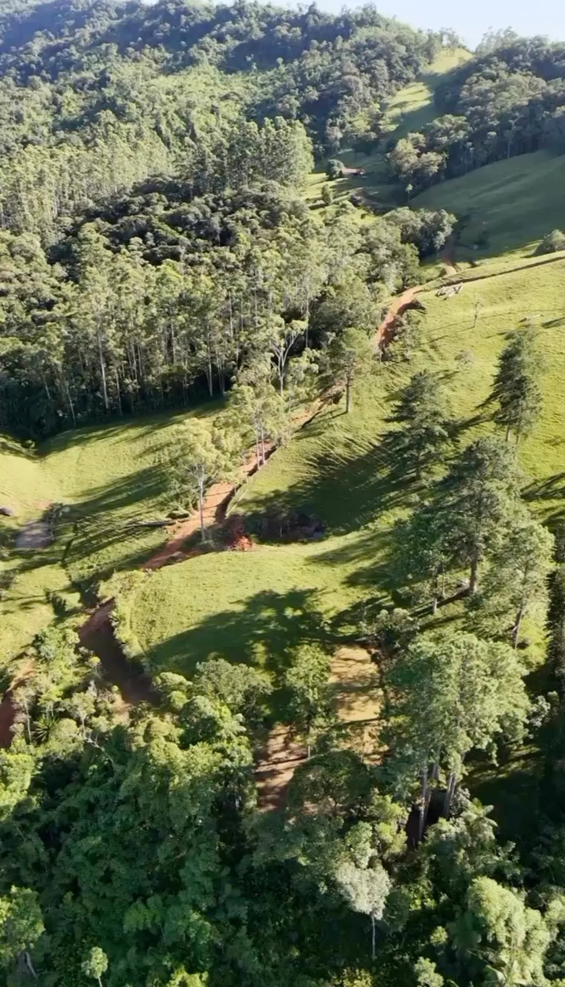 Fazenda Príncipe — foto 4