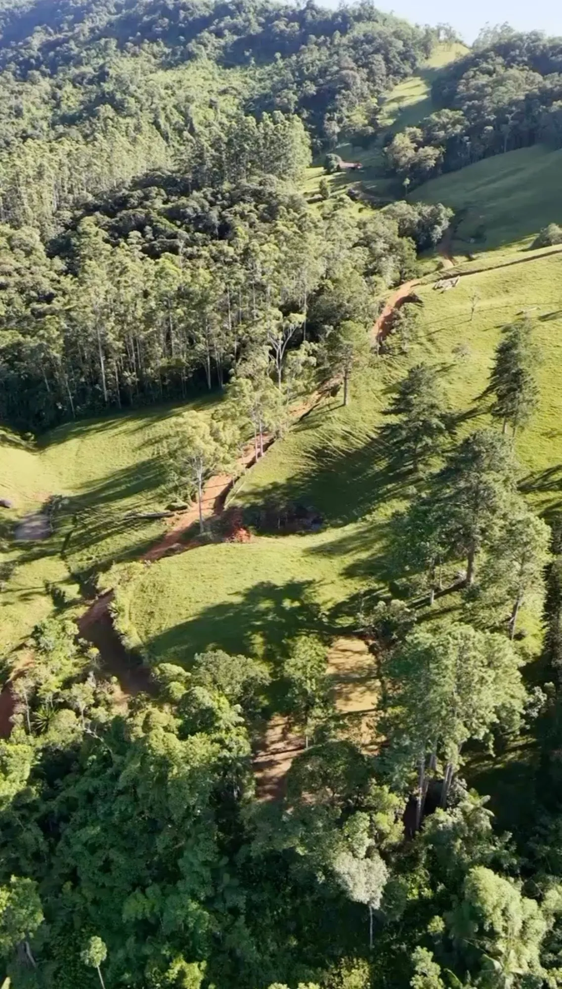 Fazenda Príncipe — foto 5