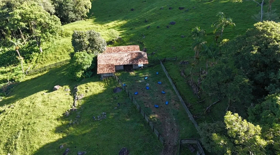 Fazenda Príncipe — foto 6