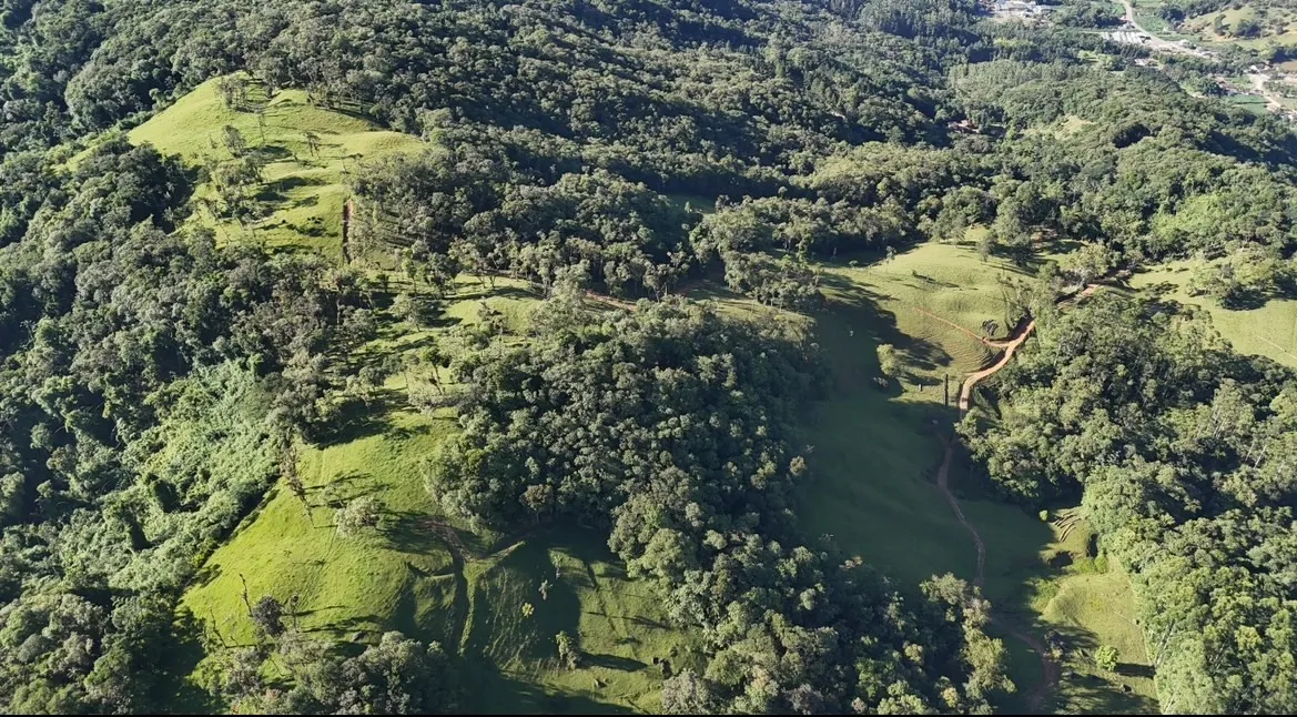 Fazenda Príncipe — foto 7