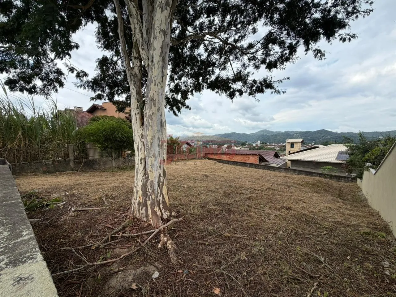 Terreno para Locação com aproximadamente 385m no Bairro Itoupava Norte. - foto 1