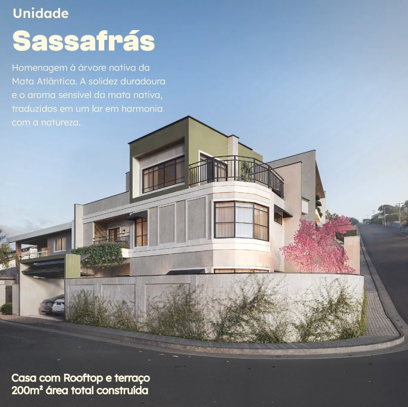 LANÇAMENTO IMPERDÍVEL - OPORTUNIDADE RARA! PERTO DA VILA GERMANICA!!! (Casa Sassafrás) - foto 1