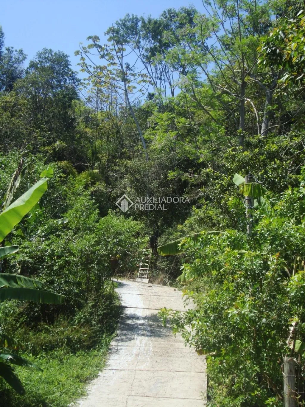 Imóvel — foto 3