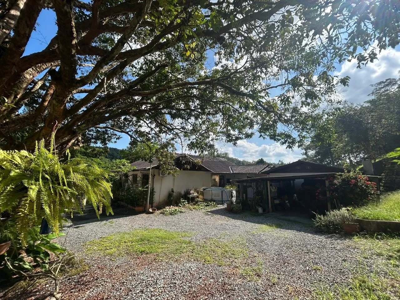 Terreno amplo para venda no bairro Ribeirão Fresco em Blumenau, 23.034,50m. Oportunidade que você buscava para construir seu sonho! — foto 4
