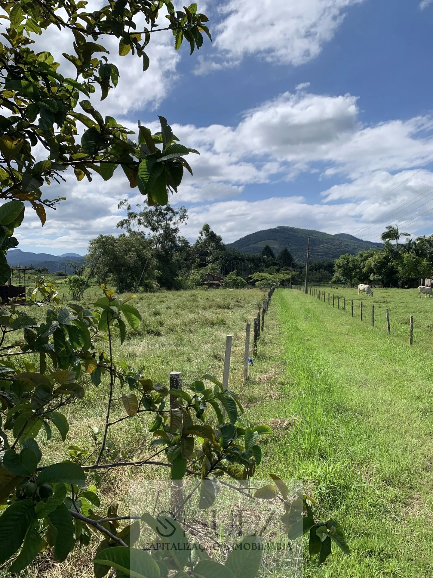 Sítio com lagoa e 32.000m2 de área - foto 1