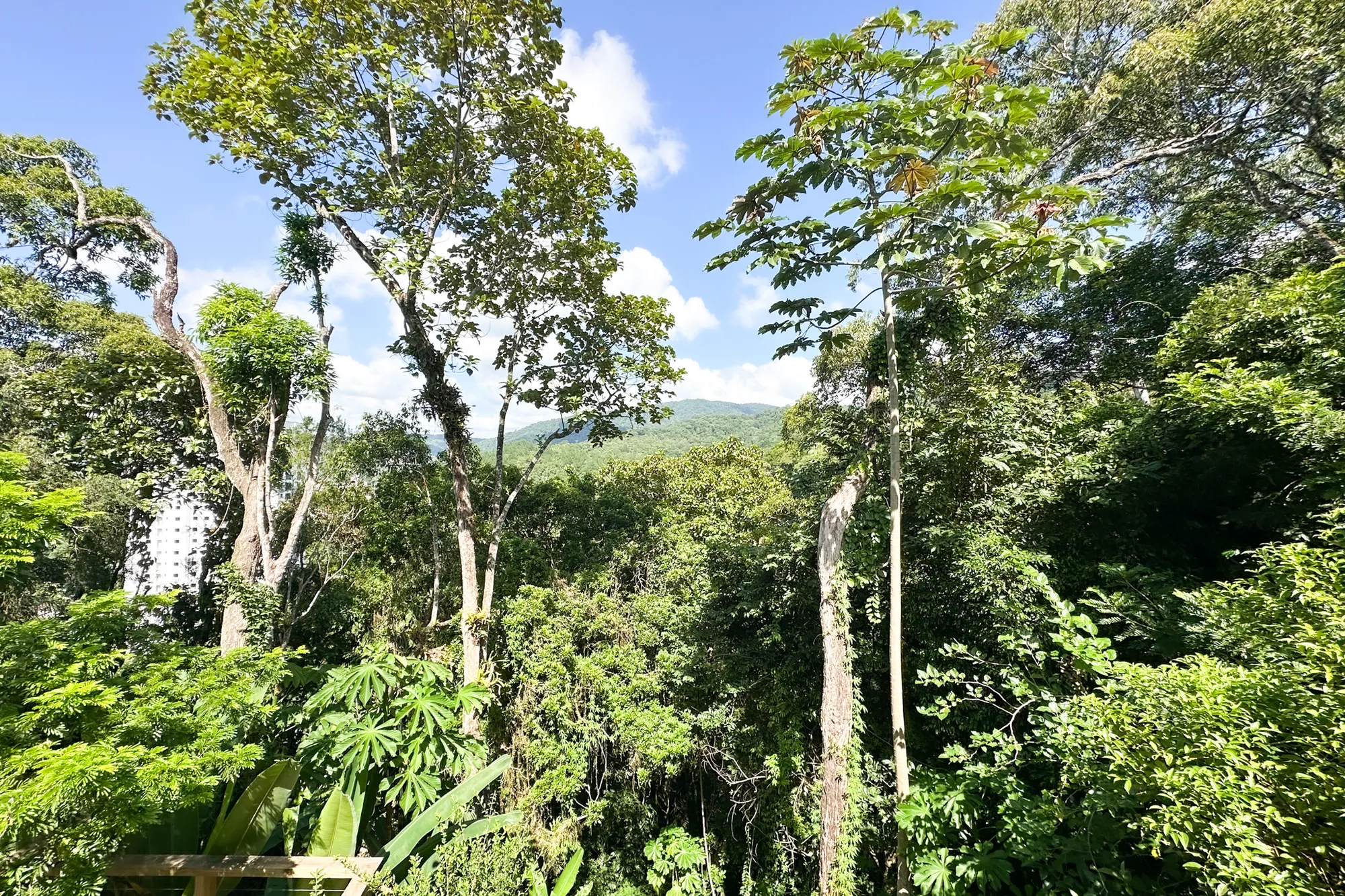 CASA ALTO PADRÃO EM RUA SEM SAÍDA NO JARDIM BLUMENAU