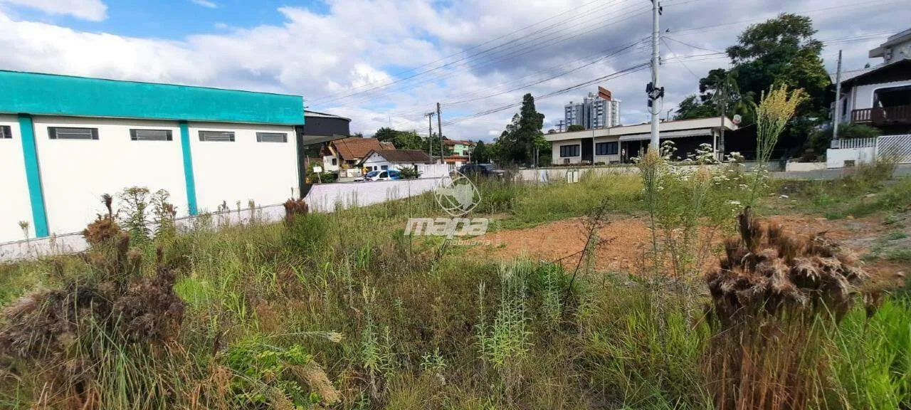 Terreno no Bairro Quintino — foto 4
