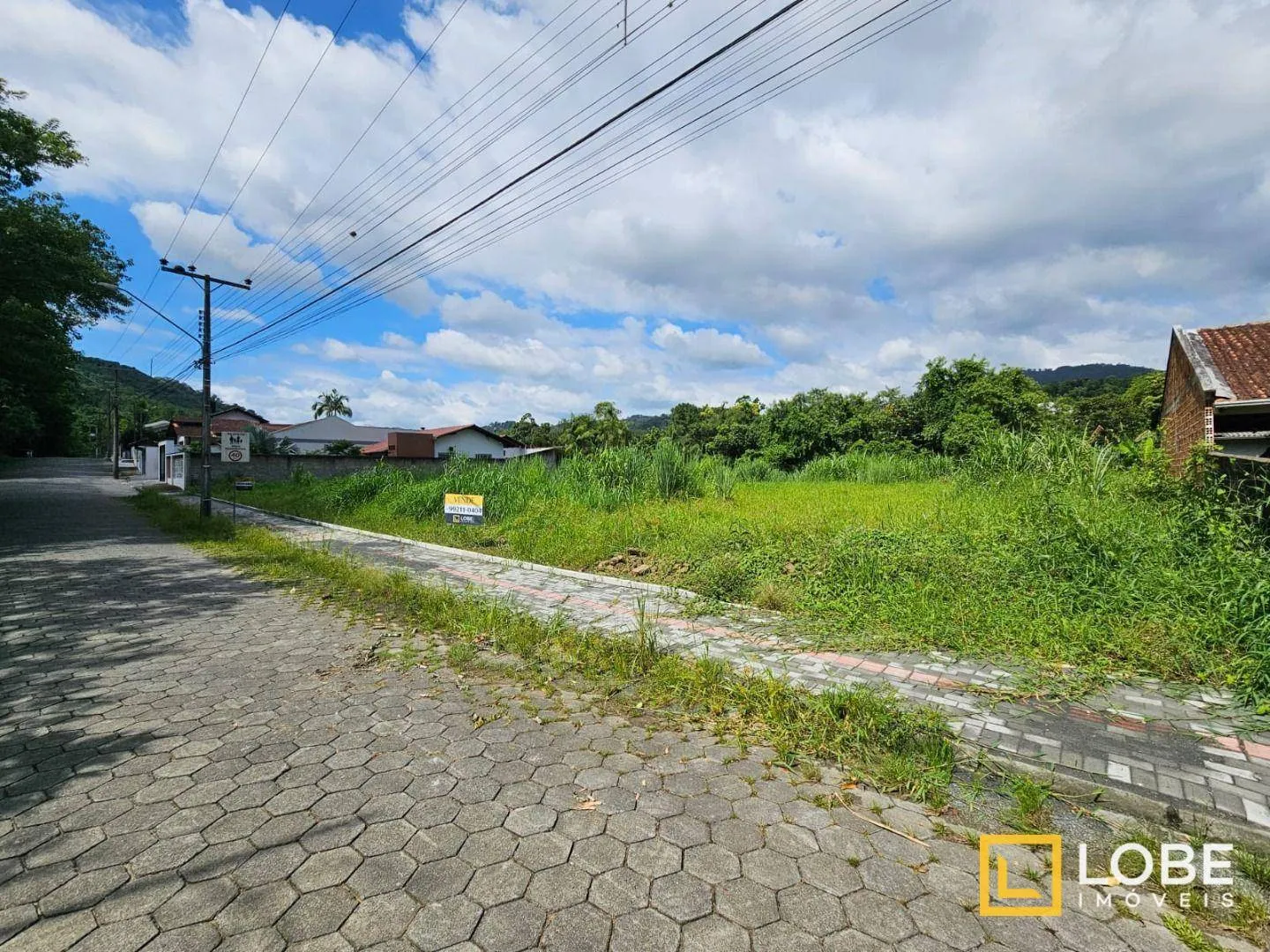 Terreno com 5.000m à venda no Passo Manso — foto 2