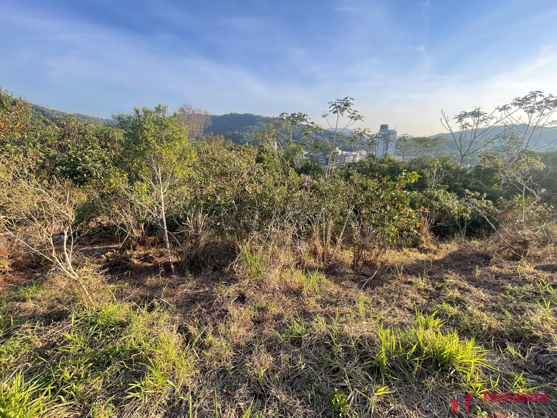 Privilége - Terreno em Condomínio Fechado no bairro Ponta Aguda em Blumenau-SC com aprox. 793 m2. — foto 6