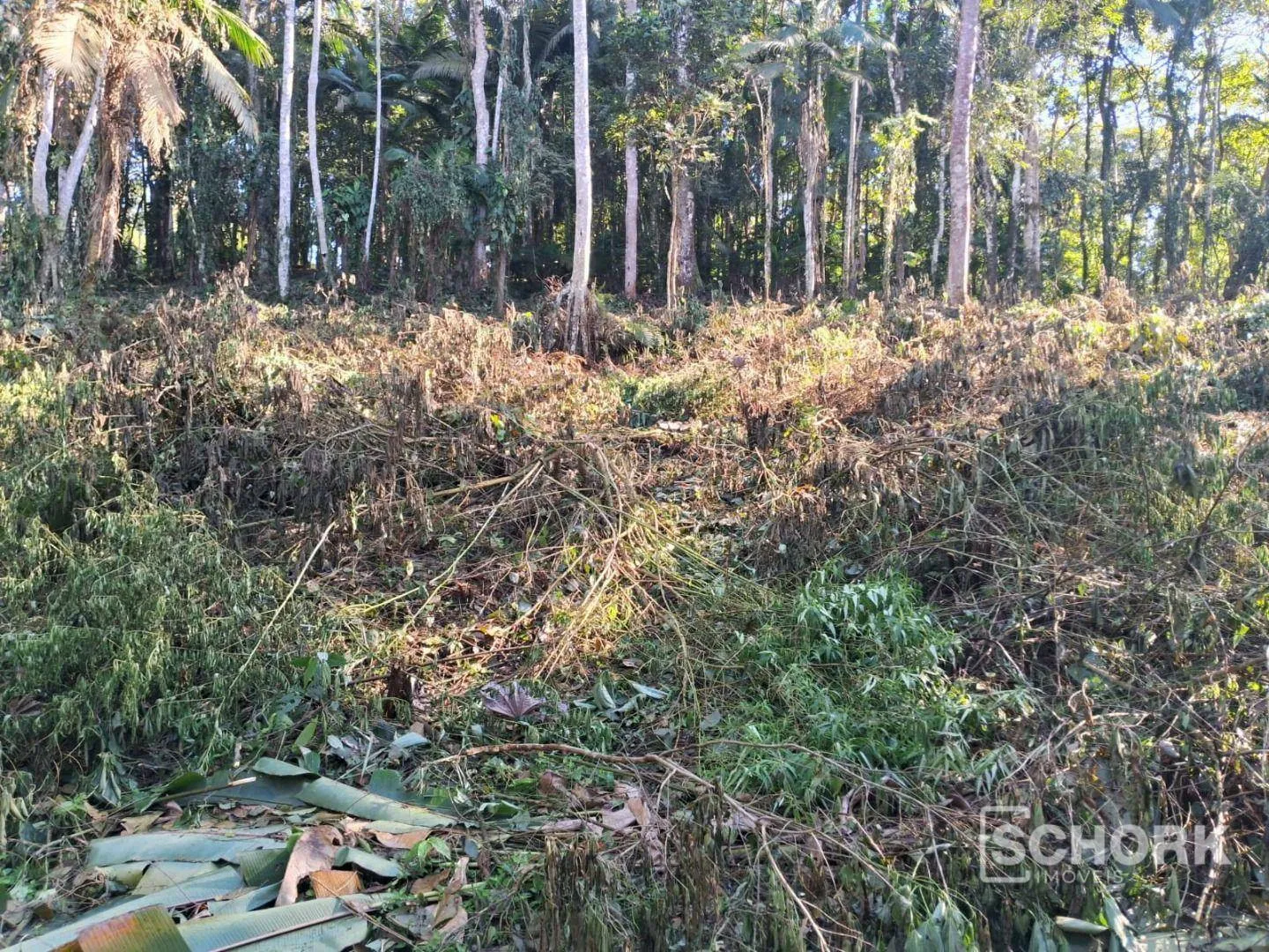 Terreno à venda, 6710 m por R$ 400.000,00 - Wunderwald - Pomerode/SC - foto 1