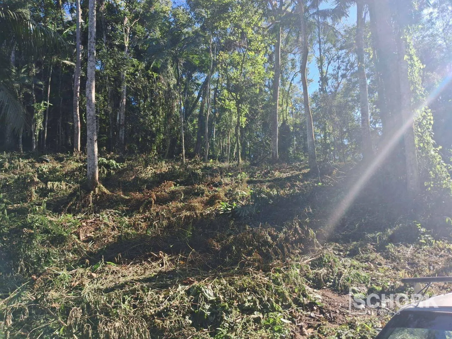 Terreno à venda, 6710 m por R$ 400.000,00 - Wunderwald - Pomerode/SC — foto 2