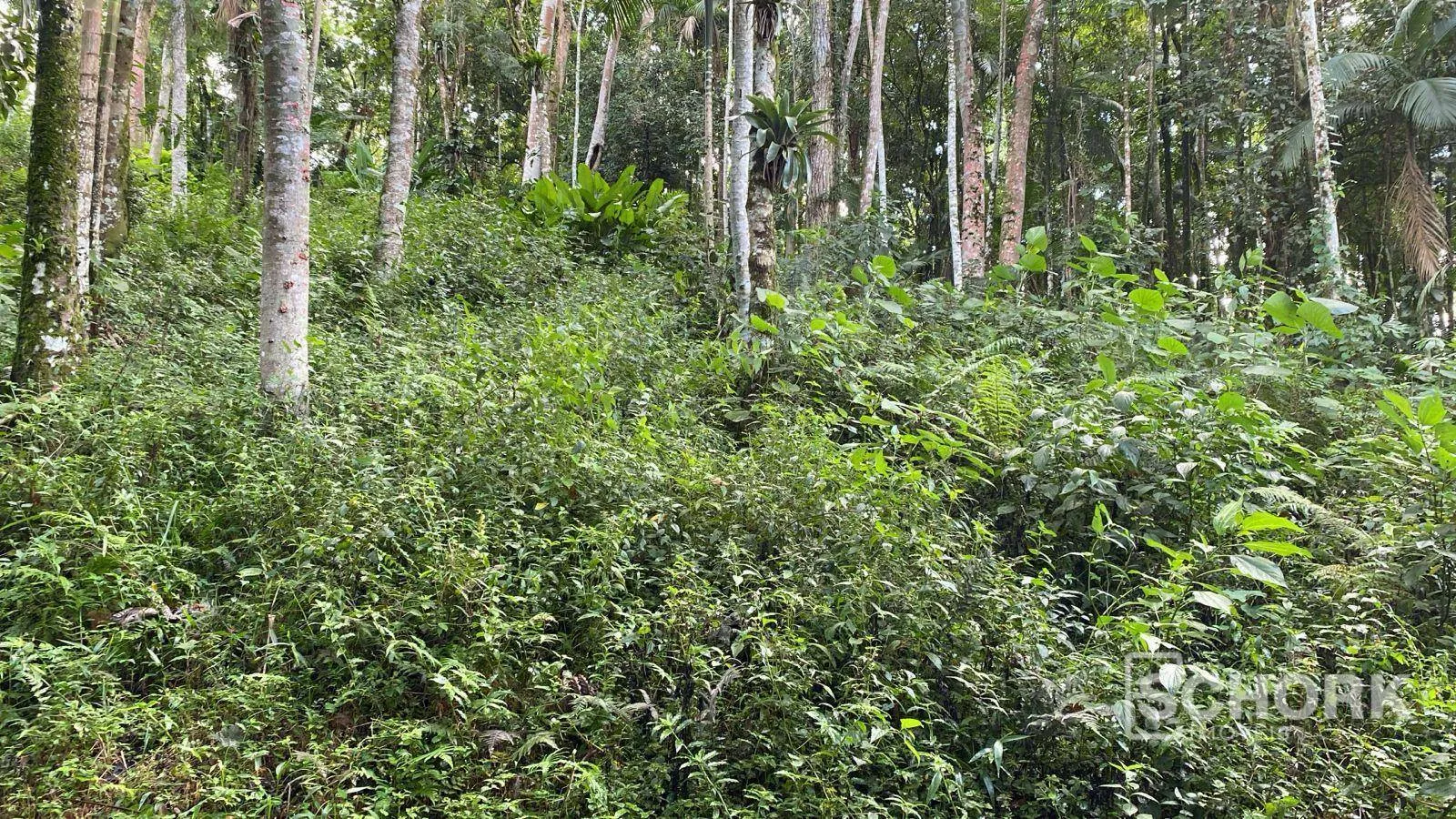 Terreno à venda, 6710 m por R$ 400.000,00 - Wunderwald - Pomerode/SC — foto 3