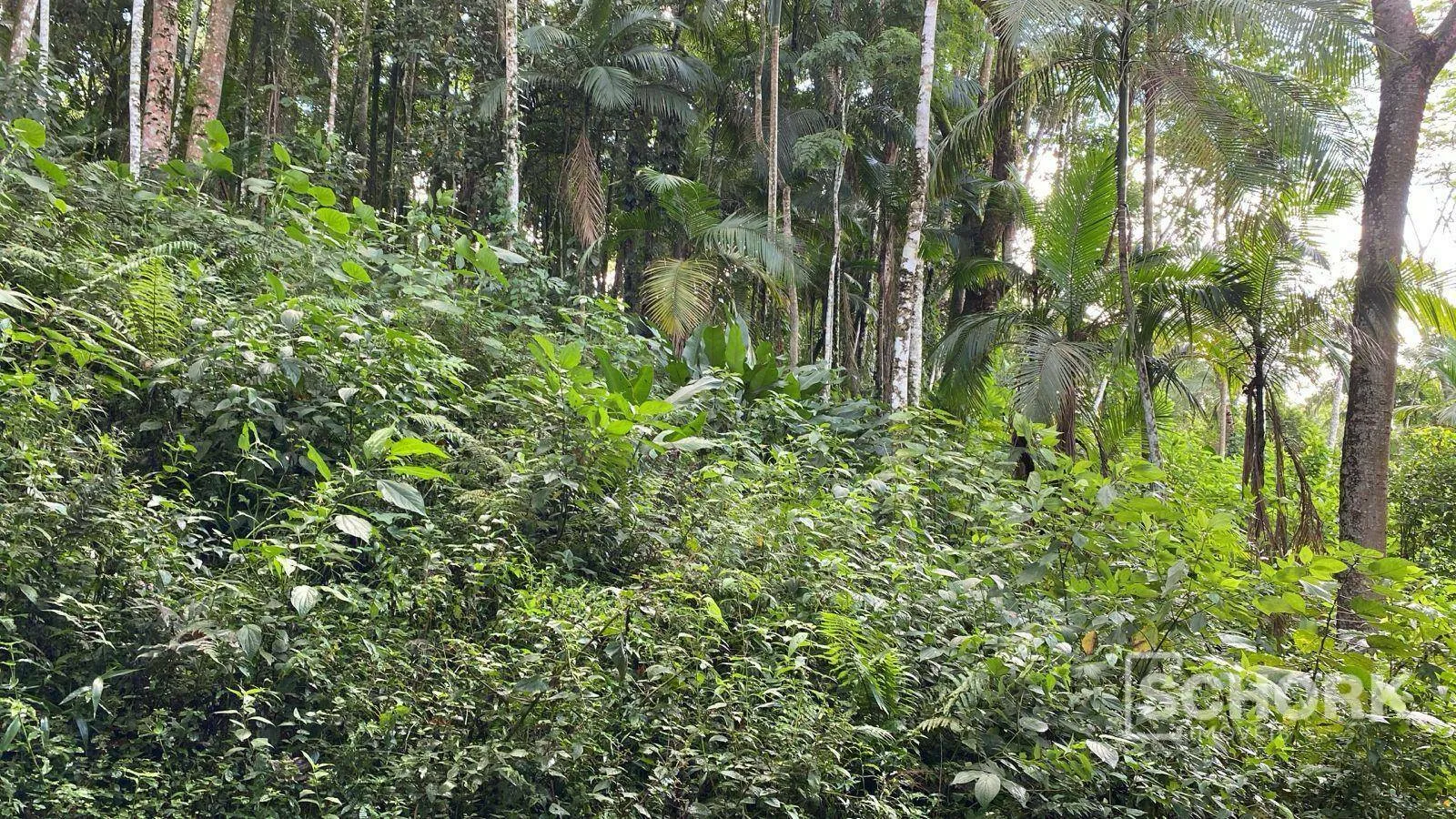 Terreno à venda, 6710 m por R$ 400.000,00 - Wunderwald - Pomerode/SC — foto 4