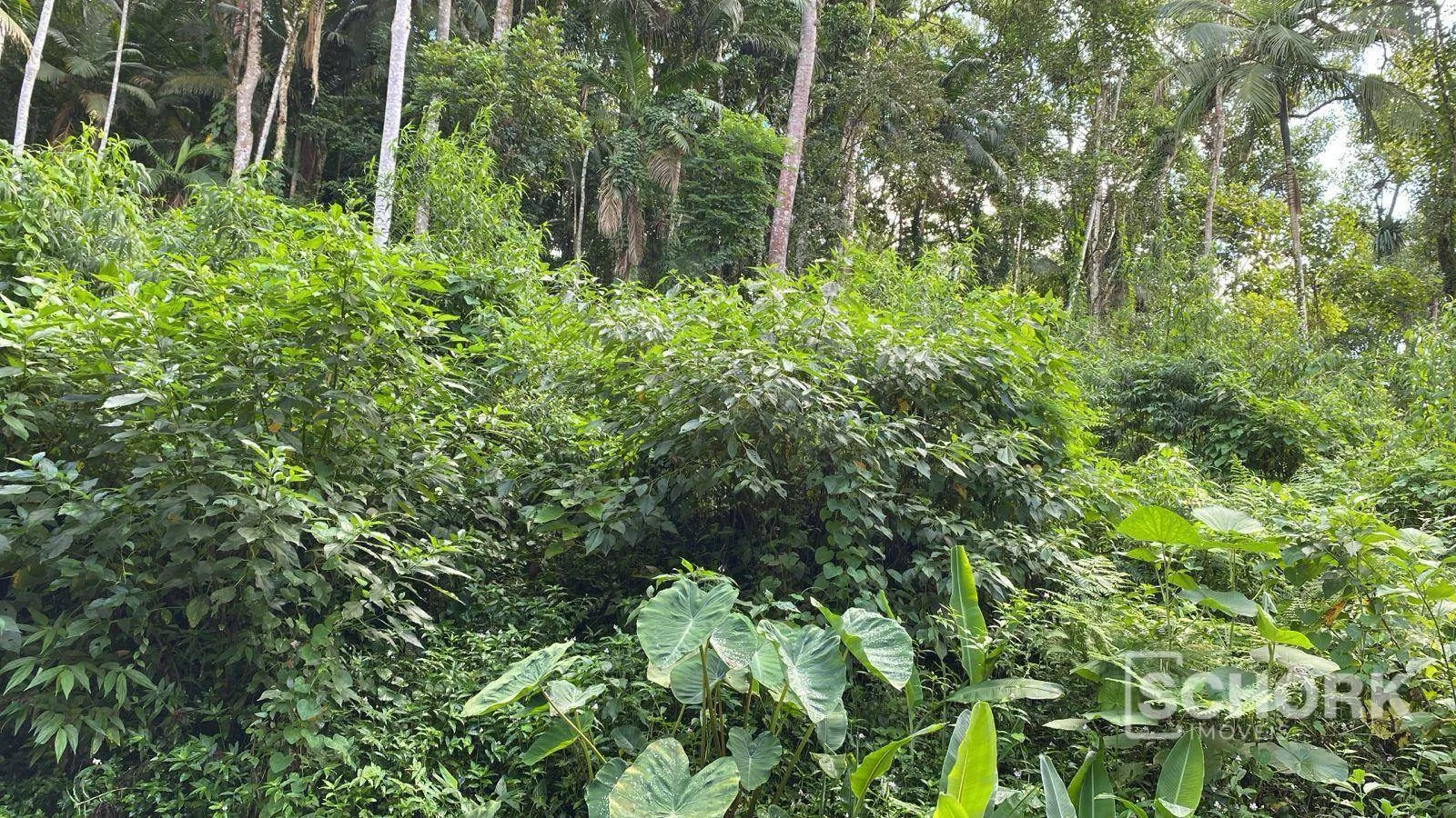 Terreno à venda, 6710 m por R$ 400.000,00 - Wunderwald - Pomerode/SC — foto 5