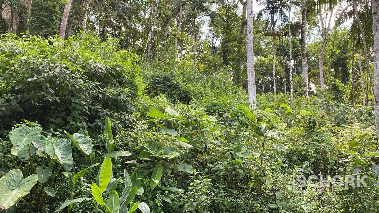 Terreno à venda, 6710 m por R$ 400.000,00 - Wunderwald - Pomerode/SC — foto 6