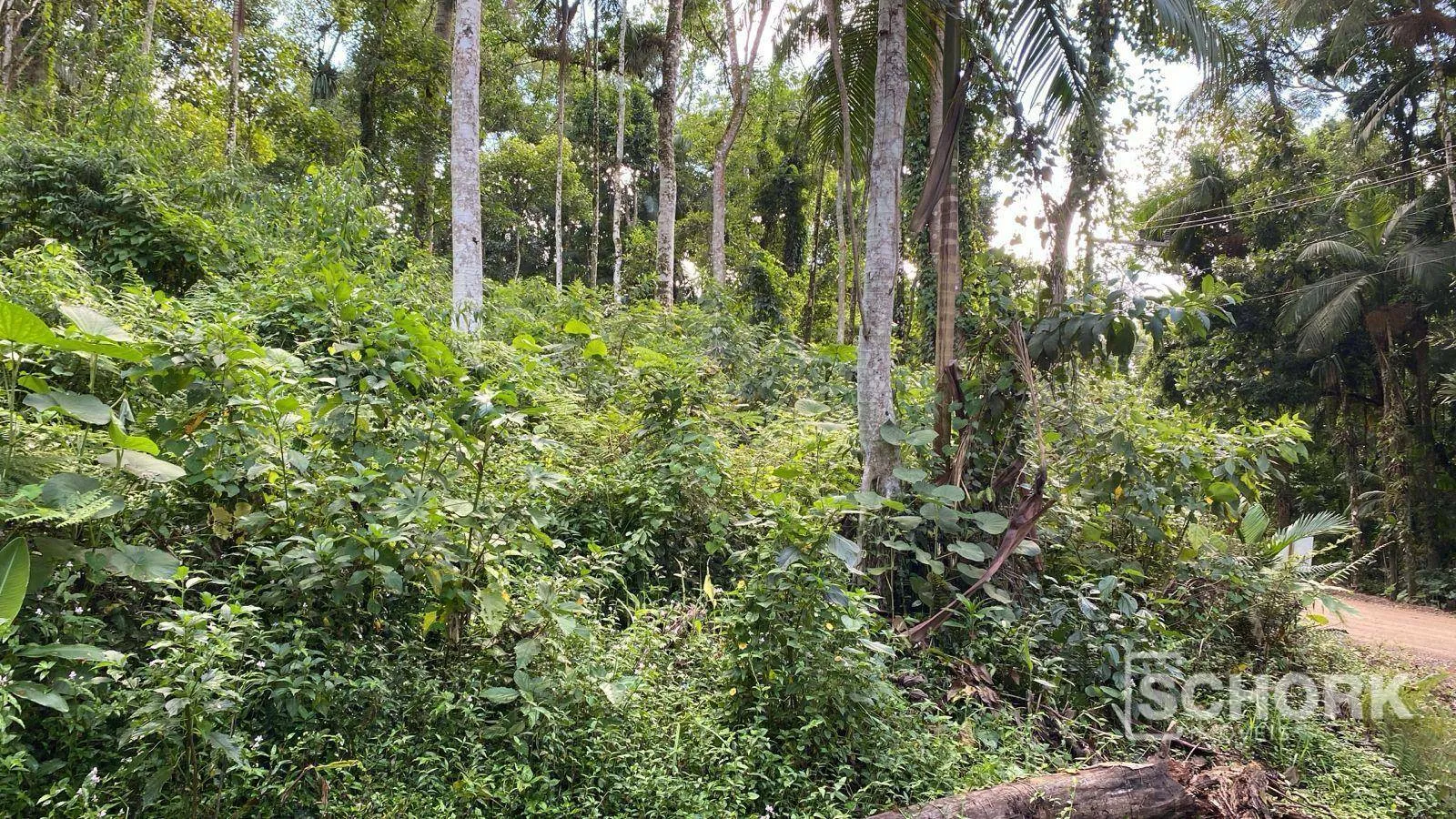 Terreno à venda, 6710 m por R$ 400.000,00 - Wunderwald - Pomerode/SC — foto 7