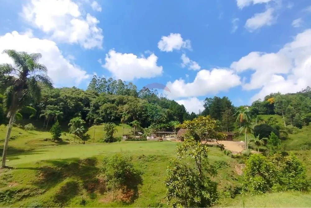 SÍTIO À VENDA EM BENEDITO NOVO/SC - foto 1