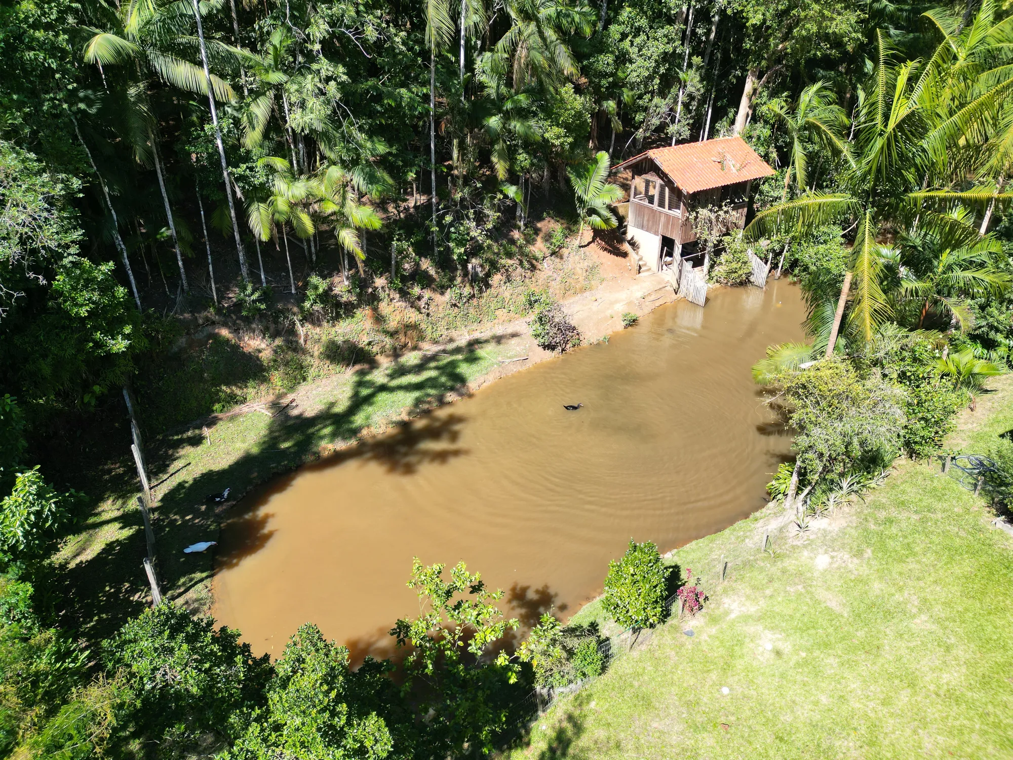 Sítio com frente para o Rio Encano em Indaial — foto 3