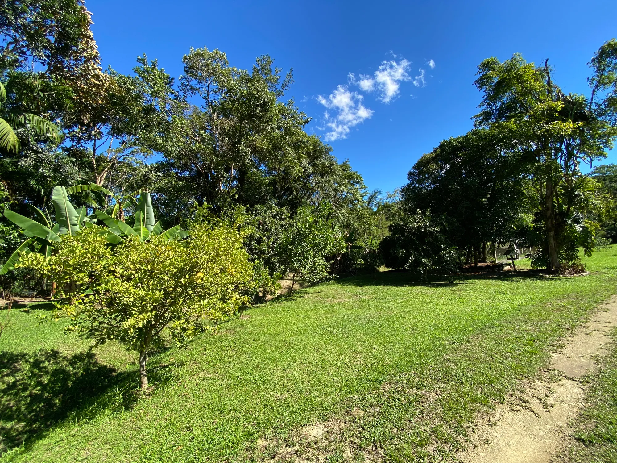 Sítio com frente para o Rio Encano em Indaial — foto 7