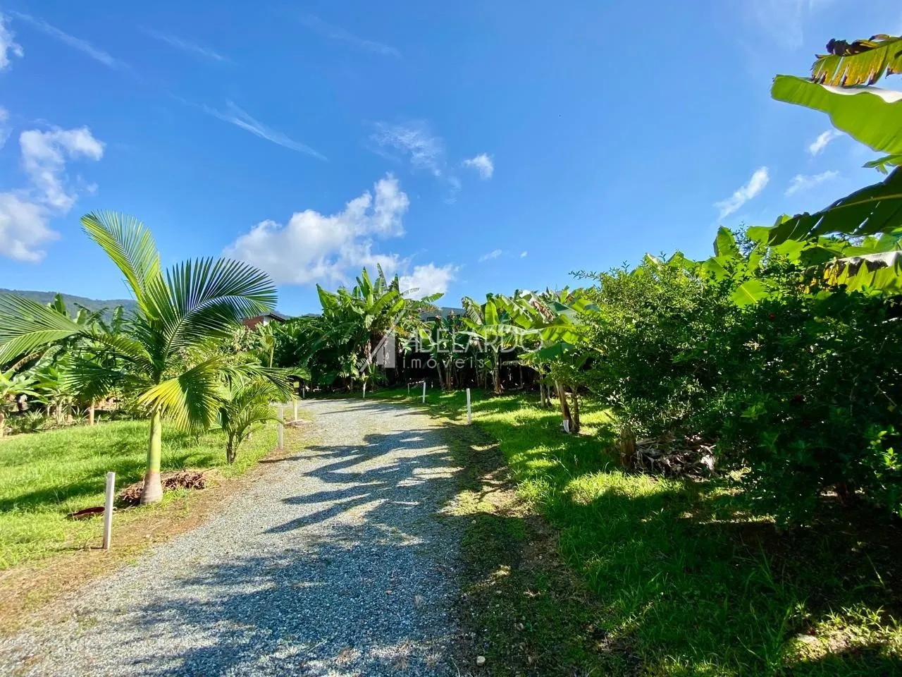 TERRENO PARA LOCAÇÃO - BAIRRO ITOUPAVA CENTRAL — foto 5