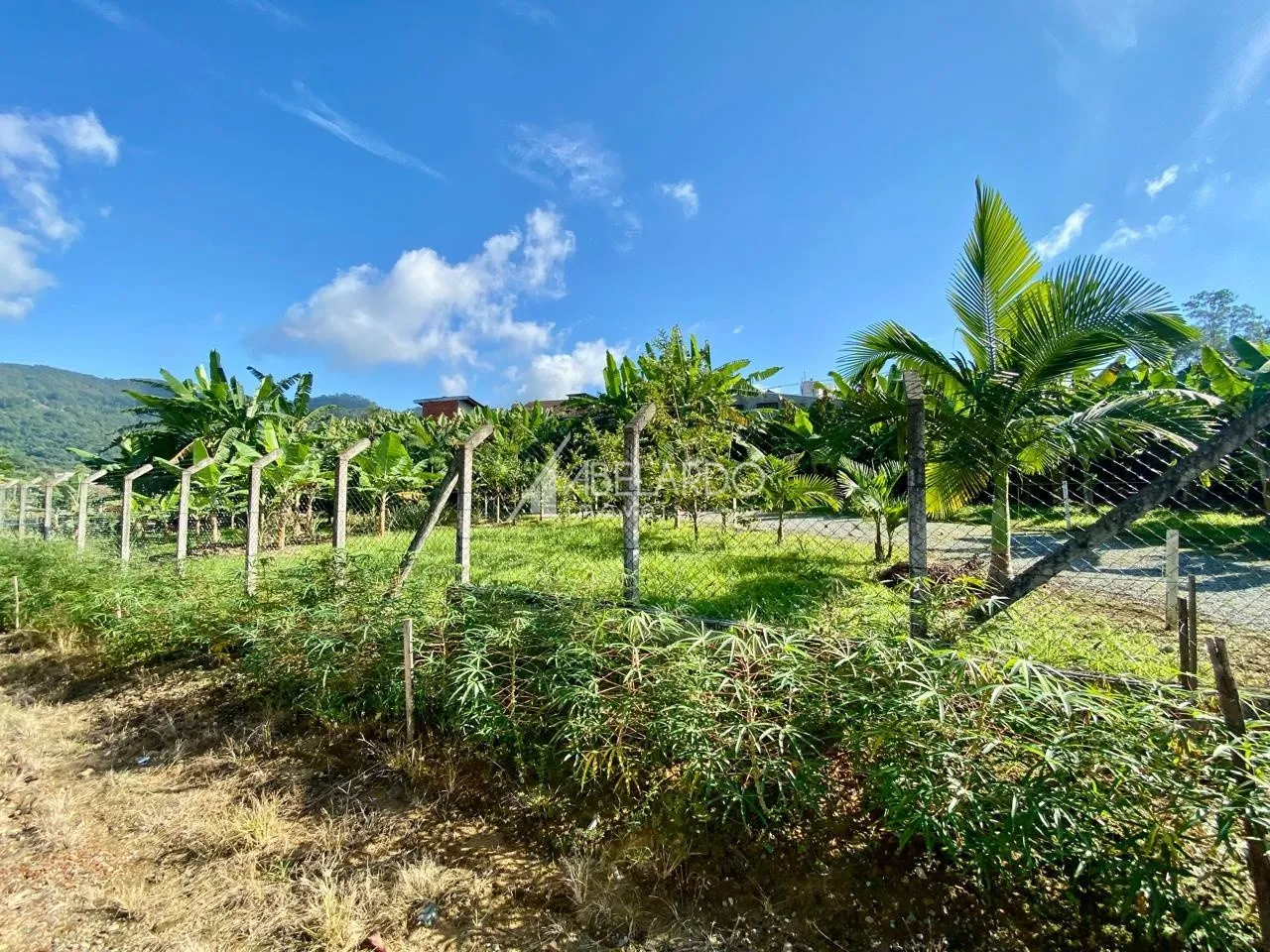 TERRENO PARA LOCAÇÃO - BAIRRO ITOUPAVA CENTRAL — foto 6