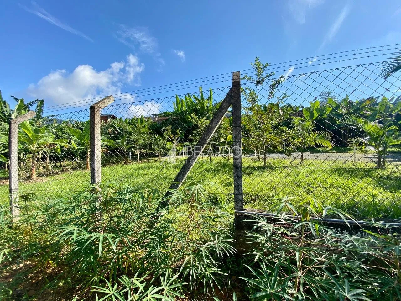 TERRENO PARA LOCAÇÃO - BAIRRO ITOUPAVA CENTRAL — foto 7