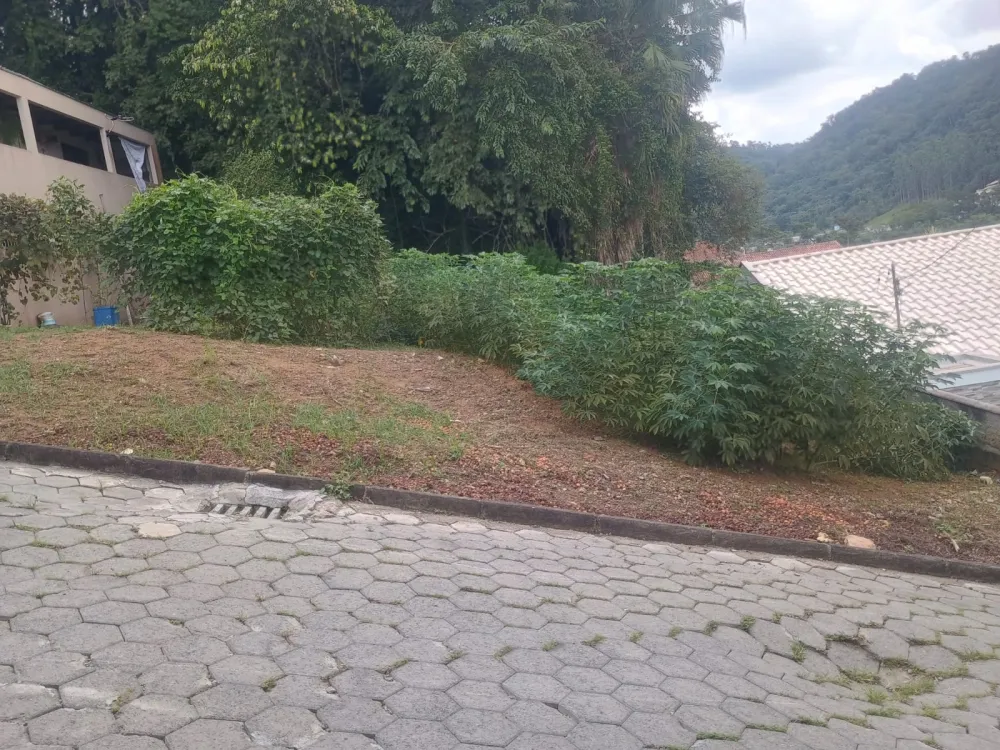 TERRENO 285m2 (FRENTE 15 METROS) - PERMUTA POR ÁREA CONSTRUIDA - foto 1