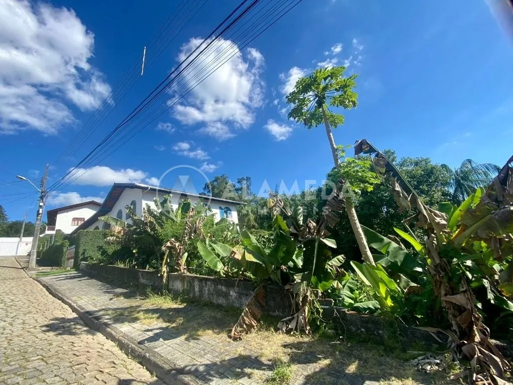 TERRENO A VENDA NO BAIRRO VELHA! — foto 2