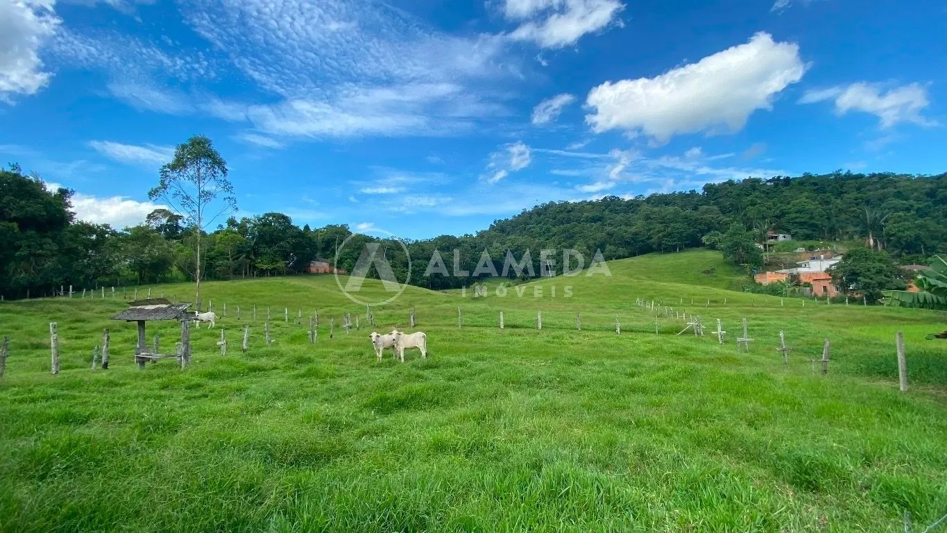 TERRENO À VENDA NO BAIRRO FIDÉLIS EM BLUMENAU. — foto 4