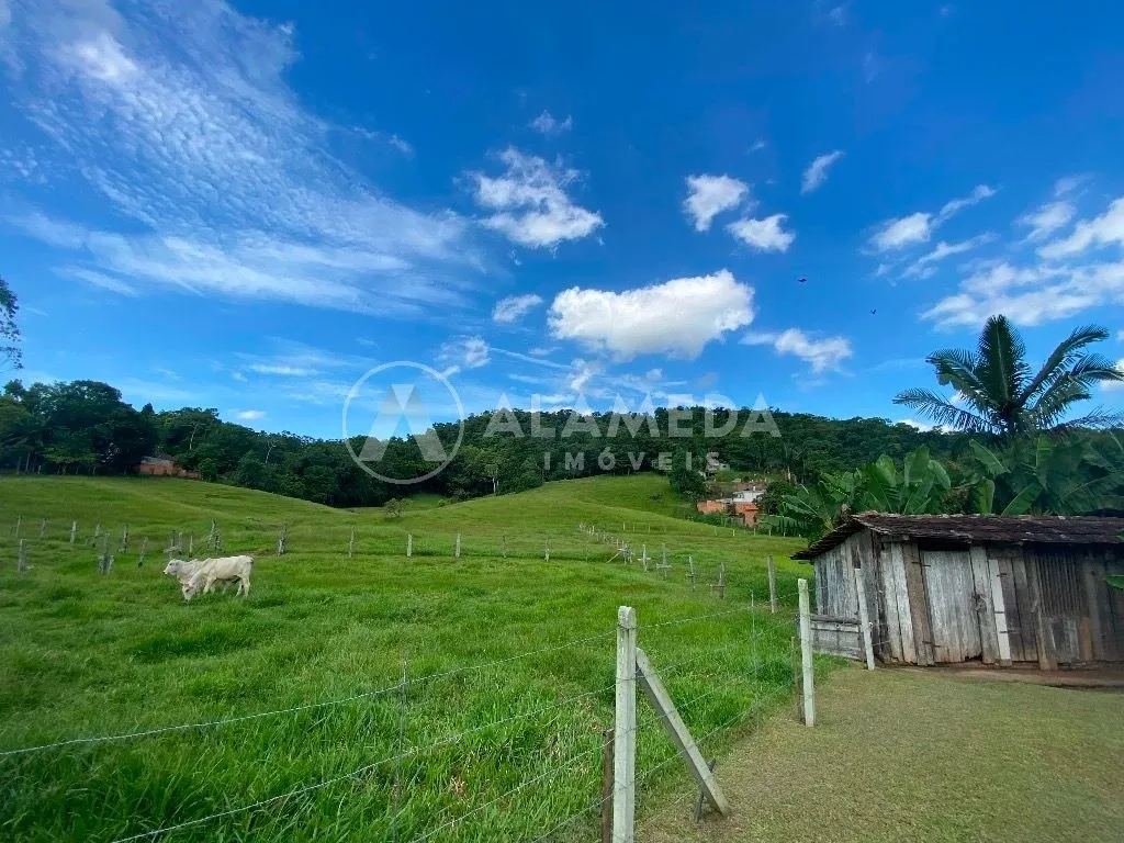 TERRENO À VENDA NO BAIRRO FIDÉLIS EM BLUMENAU. — foto 7