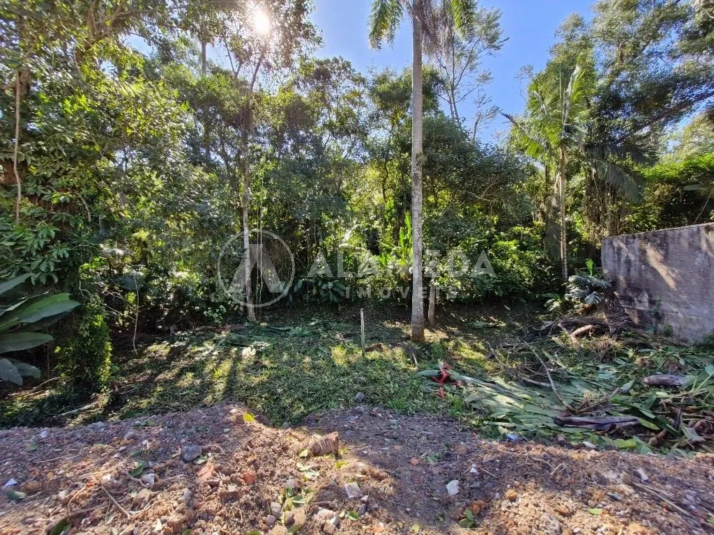 TERRENO AMPLO À VENDA NO BAIRRO RIBEIRÃO FRESCO! — foto 2